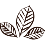 Табак листовой